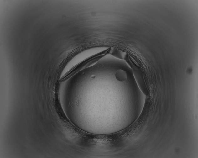 X0000095690693200801151148