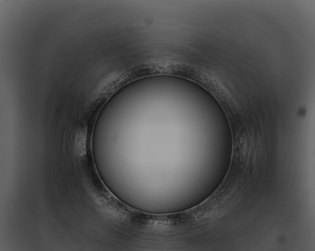X0000095690694200801151148