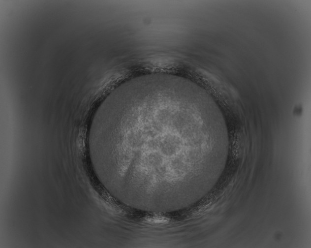 X0000095690695200801151148