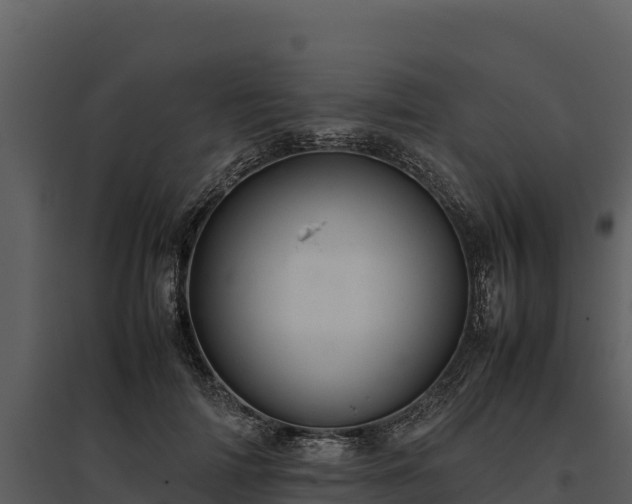 X0000095690698200801151148