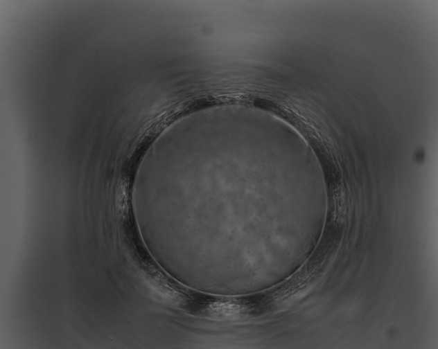 X0000095690699200801151148