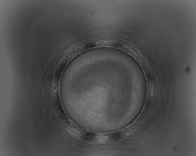 X0000095690701200801151148