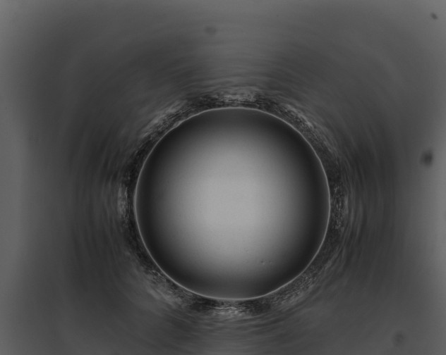 X0000095690704200801151148