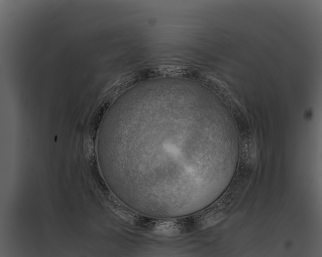 X0000095690705200801151148