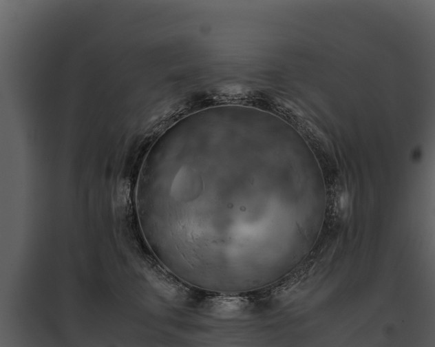 X0000095690711200801151148