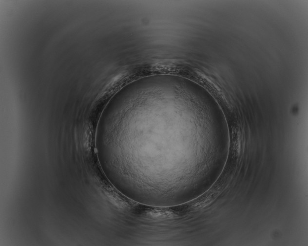 X0000095690712200801151148