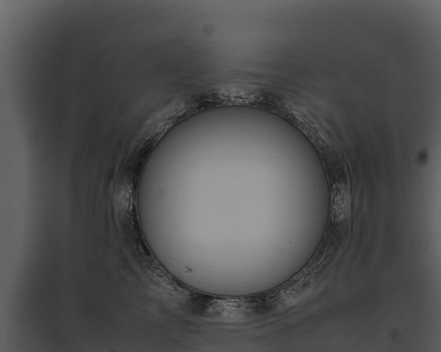 X0000095690713200801151148