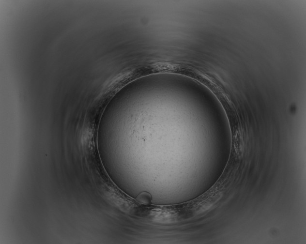 X0000095690714200801151148