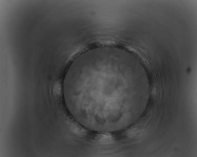 X0000095690715200801151148