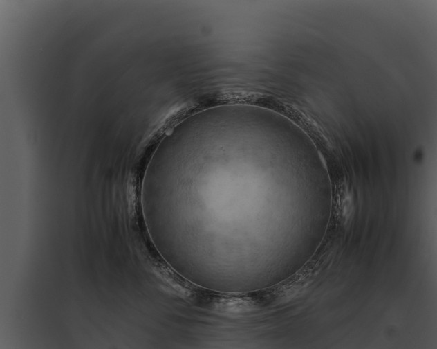 X0000095690716200801151148