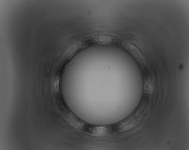 X0000095690717200801151148