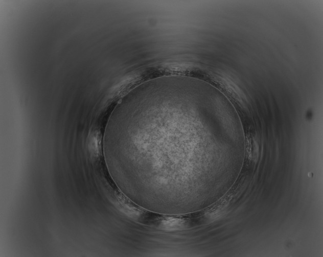 X0000095690718200801151148