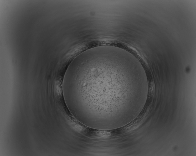 X0000095690719200801151148