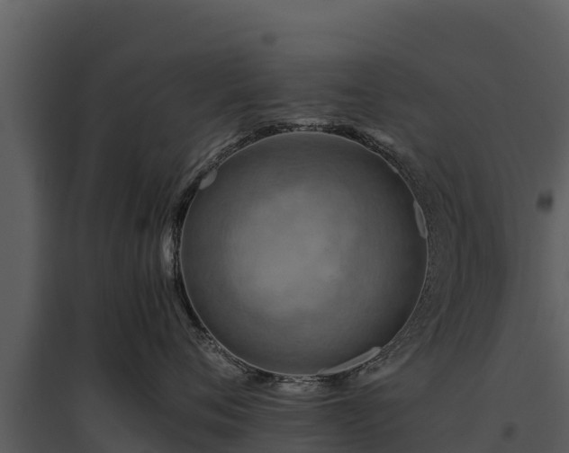 X0000095690720200801151148
