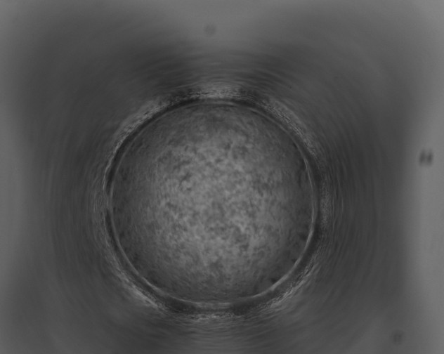 X0000095690721200801151147