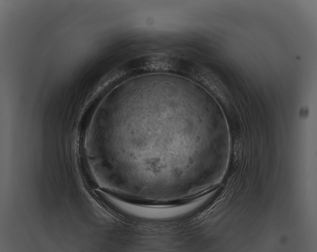 X0000095690722200801151147