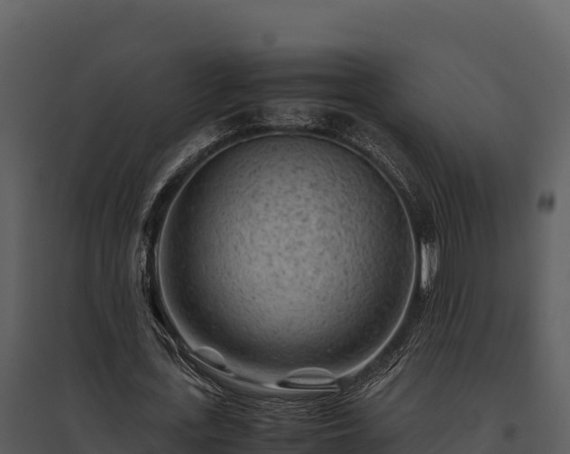 X0000095690723200801151147