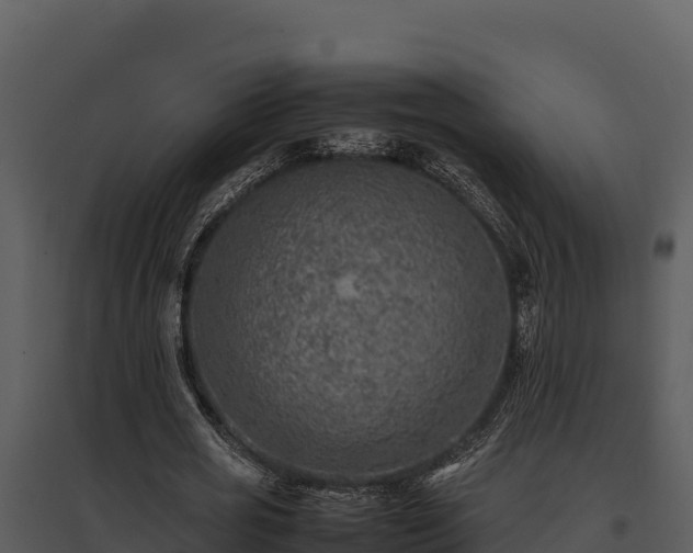 X0000095690725200801151148