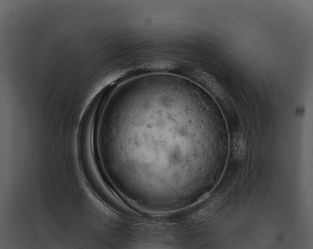 X0000095690726200801151148