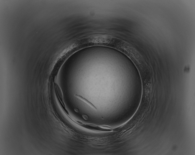 X0000095690727200801151148