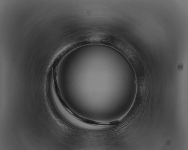 X0000095690728200801151148