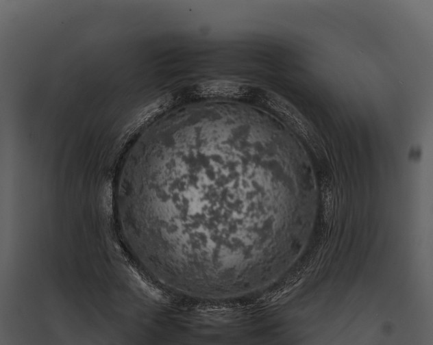 X0000095690729200801151148