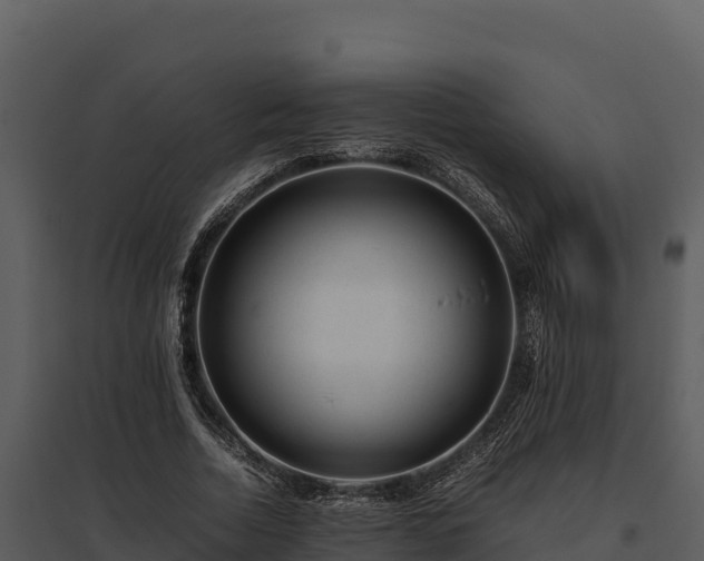 X0000095690730200801151148
