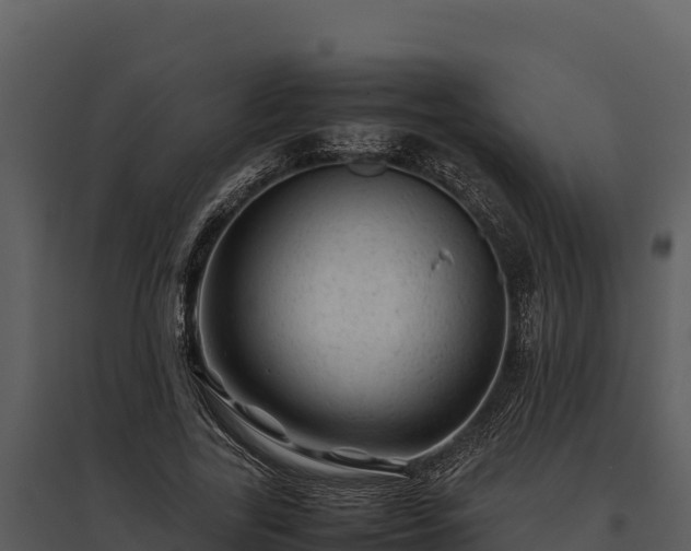 X0000095690731200801151148