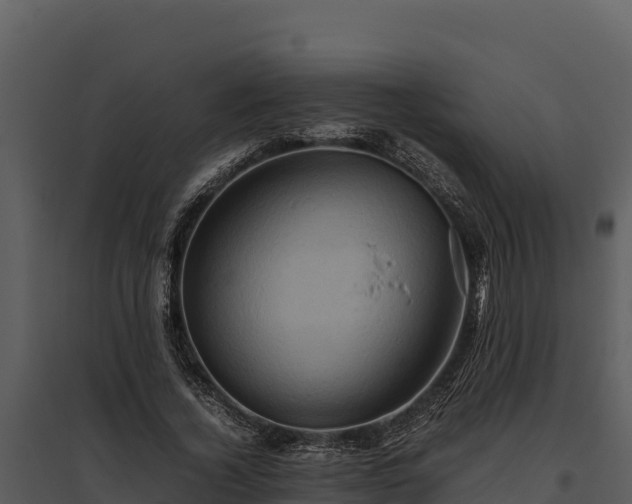 X0000095690732200801151148