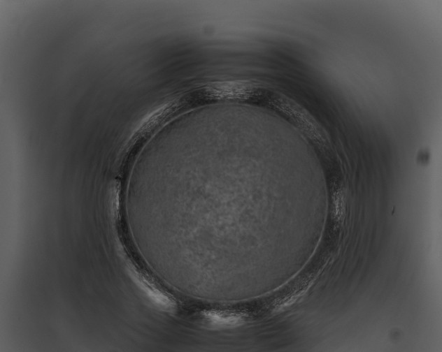 X0000095690733200801151148