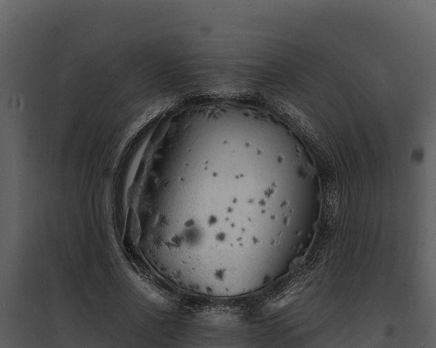X0000095690734200801151148