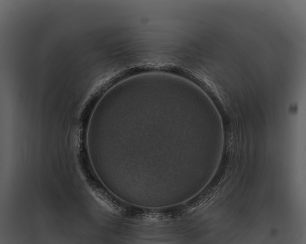 X0000095690736200801151148