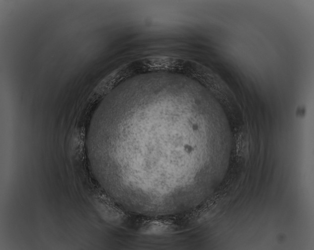 X0000095690737200801151148