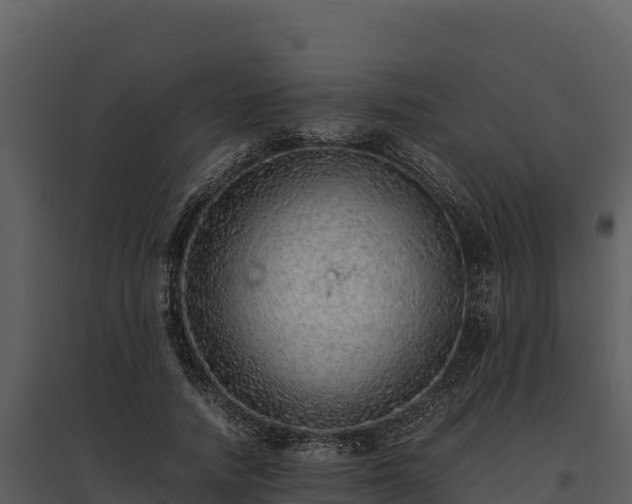 X0000095690738200801151148