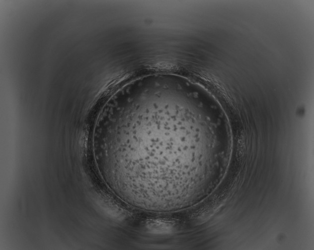 X0000095690739200801151148