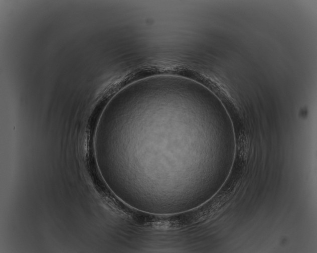 X0000095690740200801151148