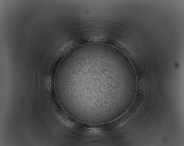 X0000095690741200801151148
