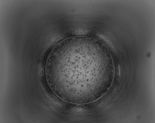 X0000095690743200801151148