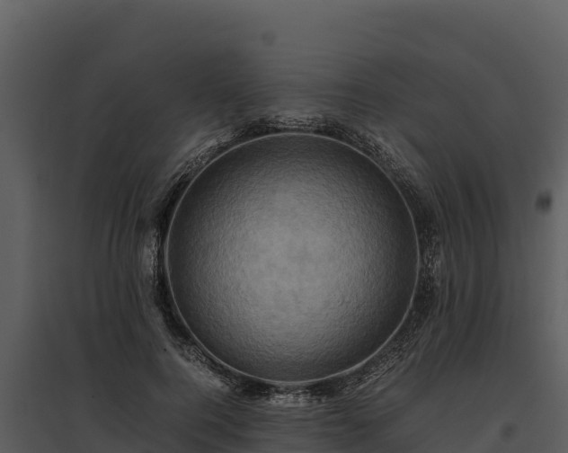 X0000095690744200801151148