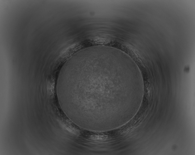 X0000095690745200801151148