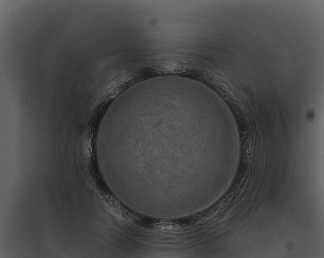 X0000095690746200801151148