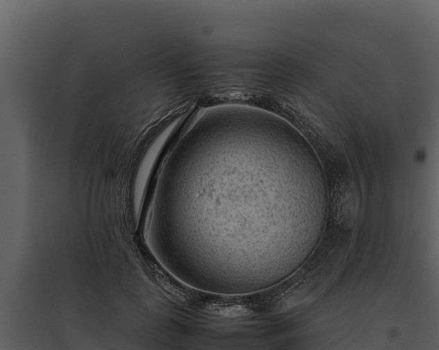X0000095690747200801151148