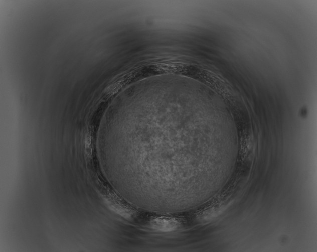 X0000095690749200801151148