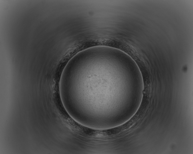 X0000095690750200801151148