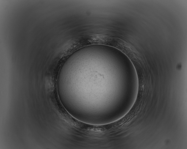 X0000095690751200801151148