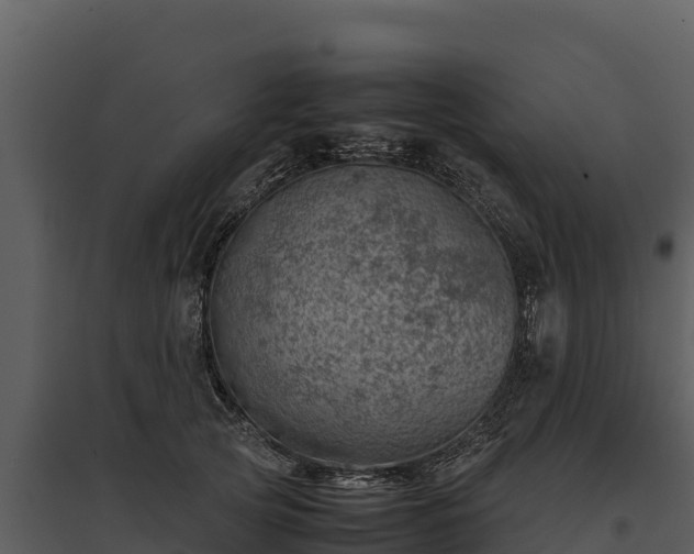X0000095690753200801151148