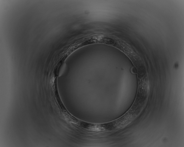 X0000095690754200801151148