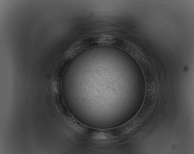 X0000095690755200801151148