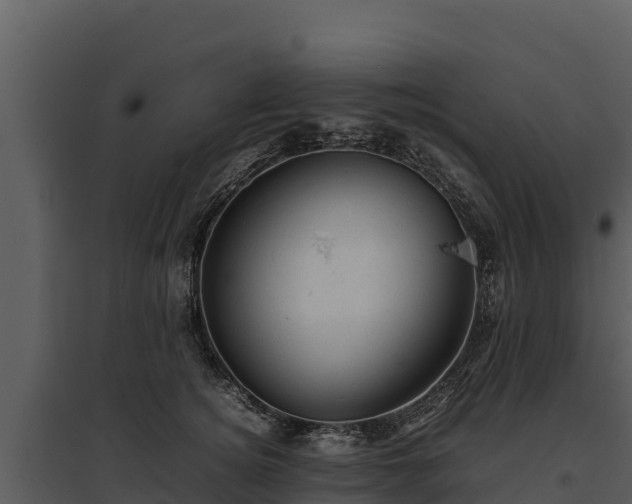 X0000095690756200801151148
