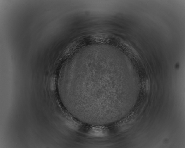 X0000095690757200801151148